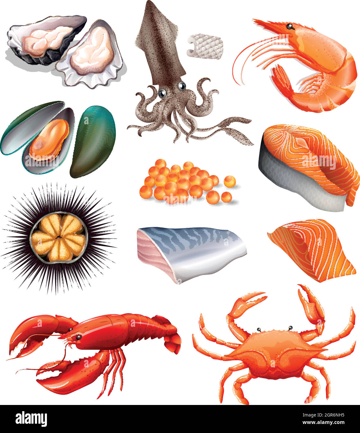 Ensemble de fruits de mer sur fond blanc Illustration de Vecteur