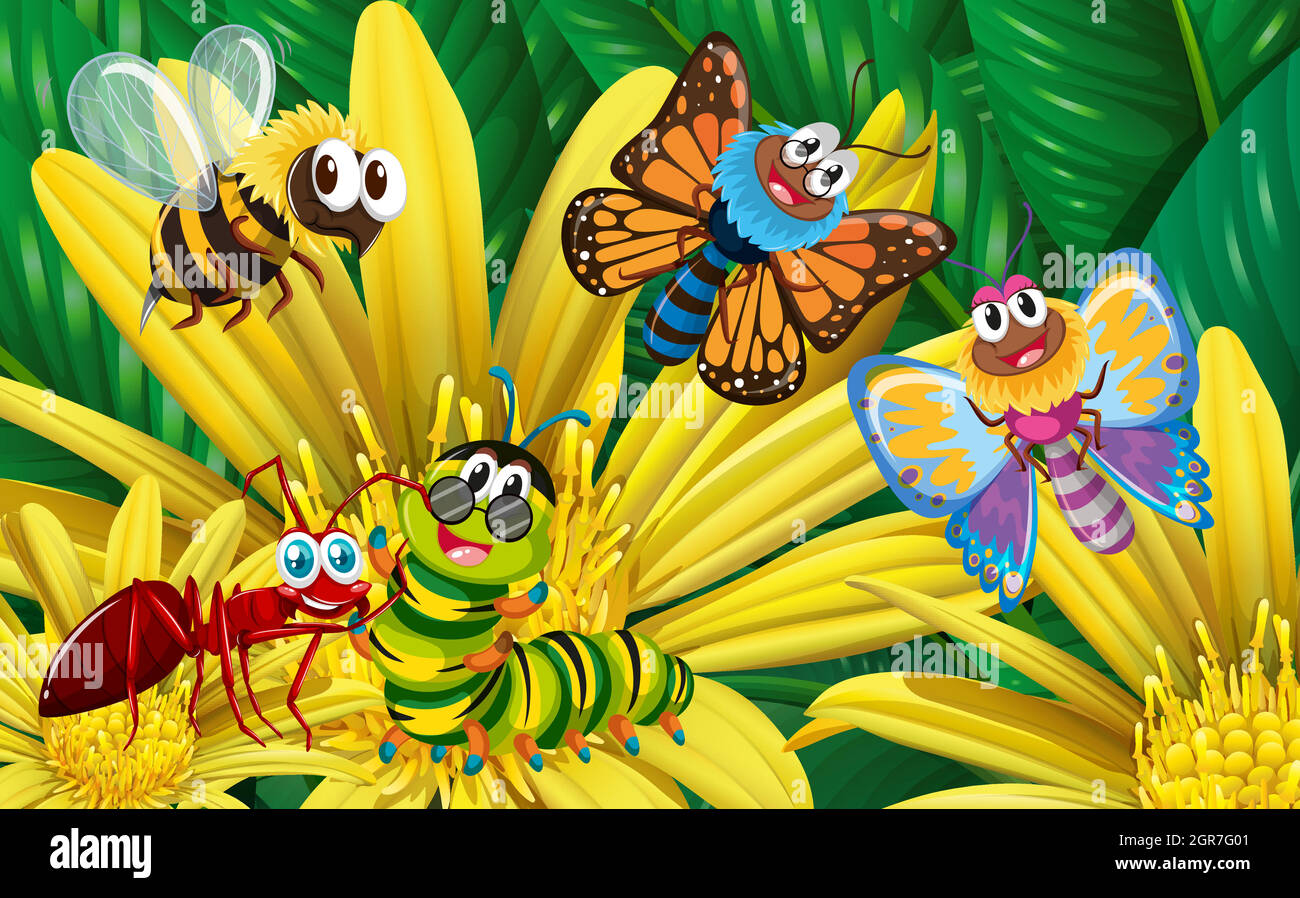 Différents types d'insectes sur la fleur jaune Illustration de Vecteur Différents types d'insectes sur la fleur jaune Illustration de Vecteur