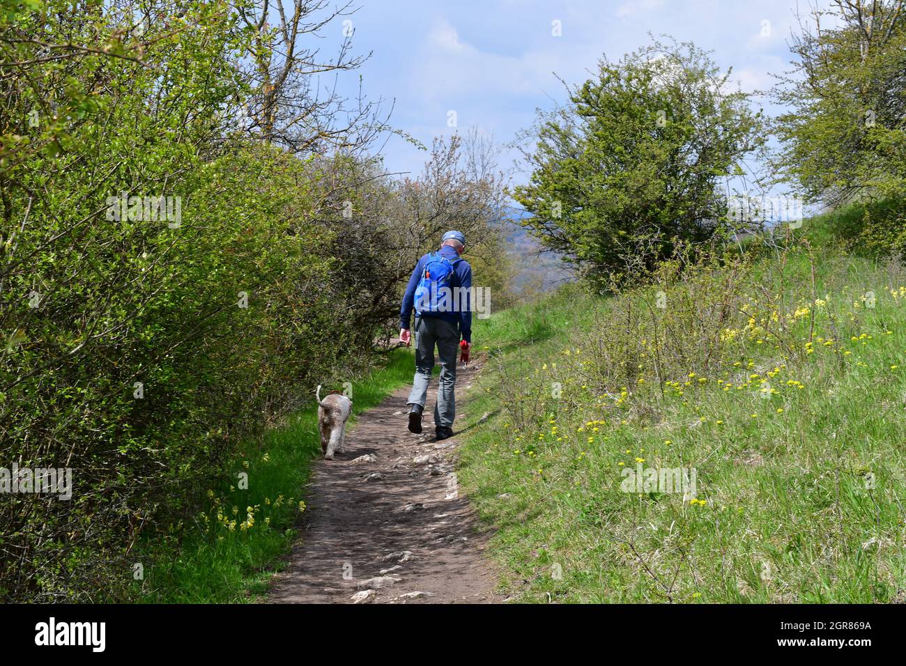 Vue Arriere Du Personne Qui Marche Photo Stock Alamy