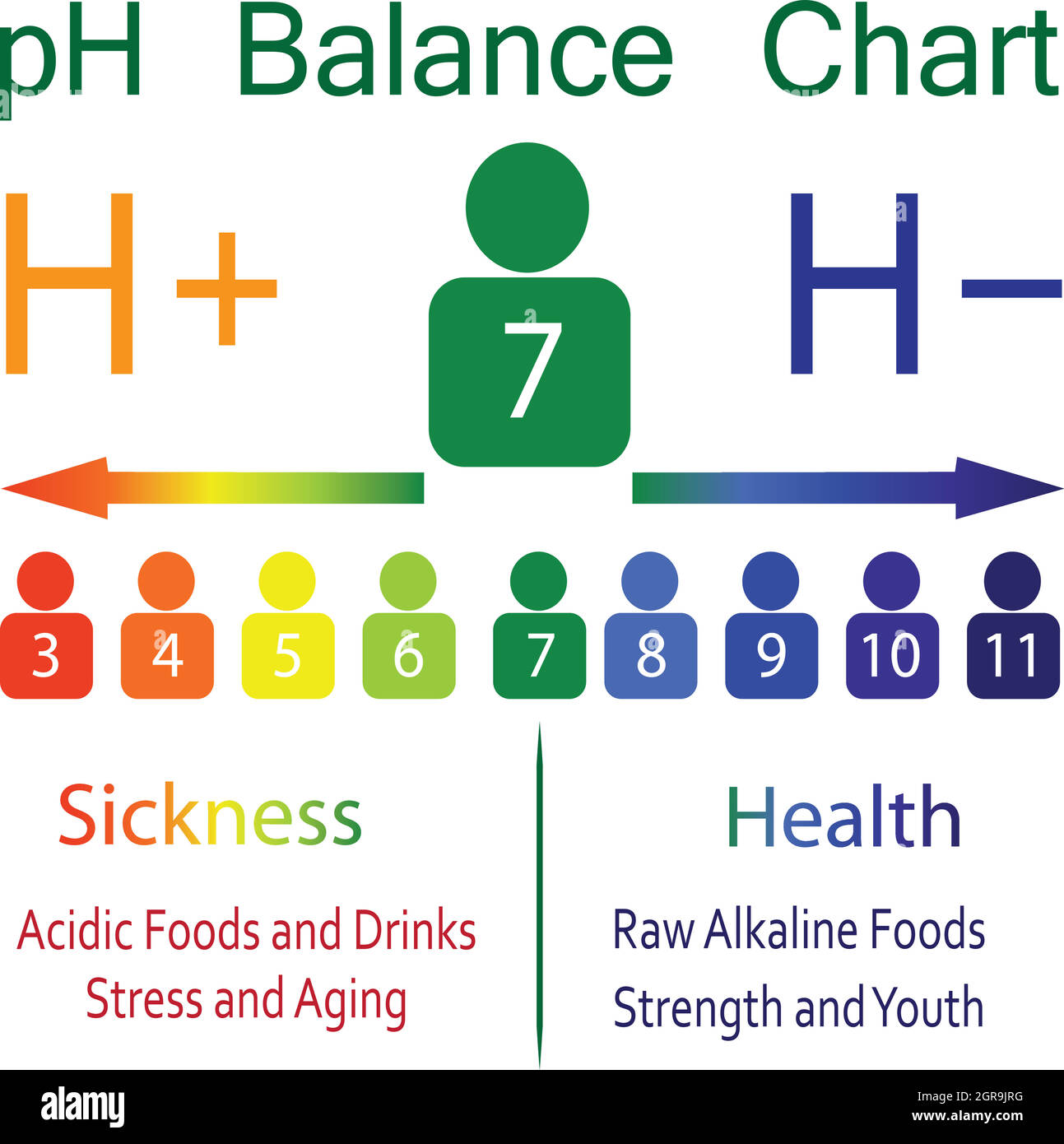 Graphique de l'échelle de la balance pH dans un corps humain Illustration de Vecteur