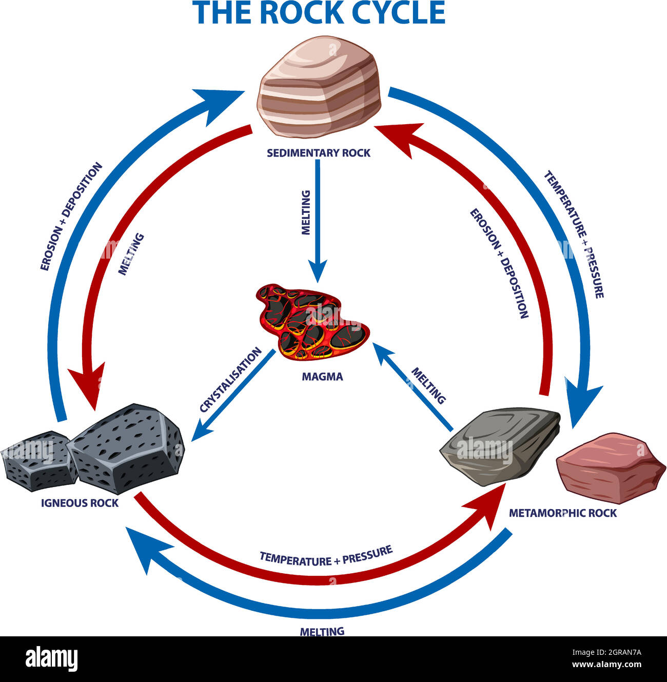 Schéma illustrant le cycle de la roche Illustration de Vecteur