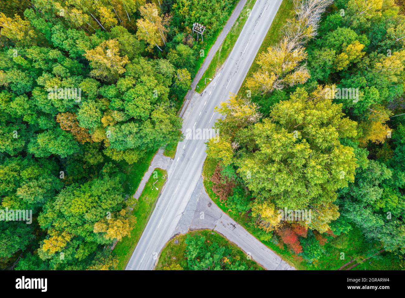 Vue aérienne depuis un drone de routes en béton entrecroisées en traversant les forêts de pins et de feuillages d'automne de couleur jaune-vert. Forêt dense en période dorée et autoroute vide en automne Banque D'Images