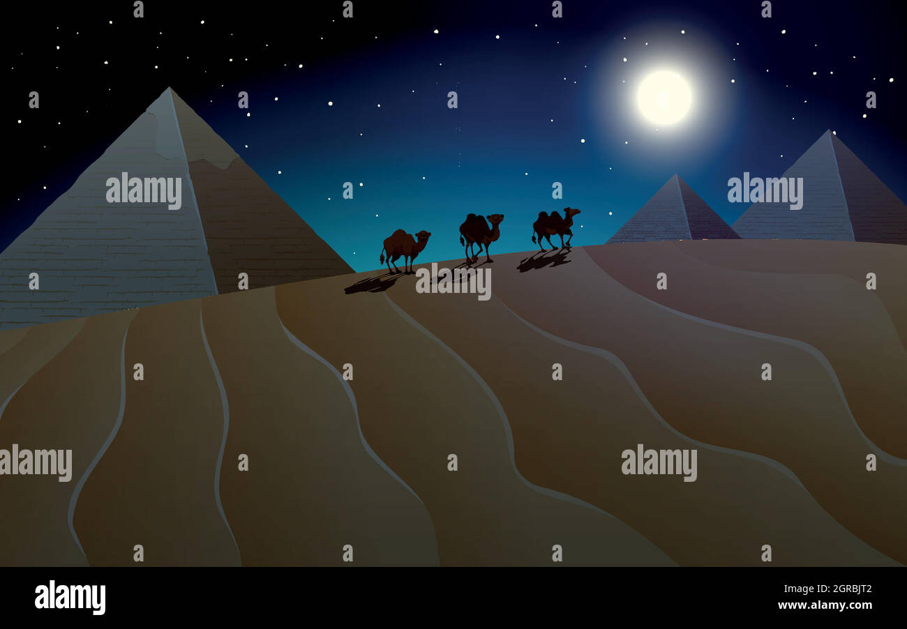 Pyramide et scène de chameau la nuit Illustration de Vecteur