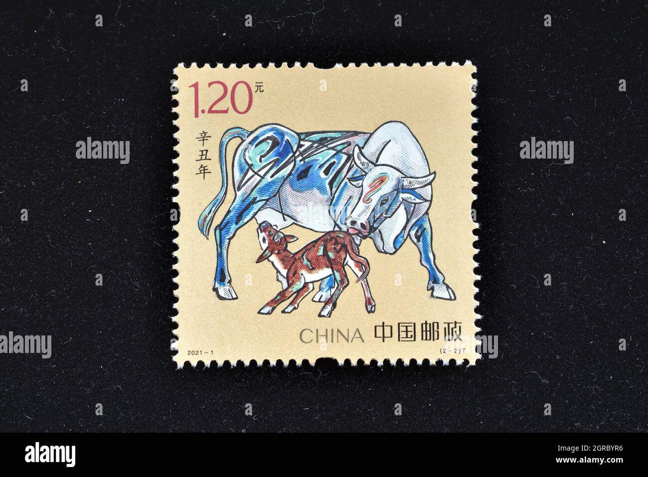 CHINE - VERS 2021: Un timbre imprimé en Chine montre 2021-1 Xin Chou année (année de l'Ox) - extrêmement chanceux dans l'année de l'Ox, vers 2021. Banque D'Images