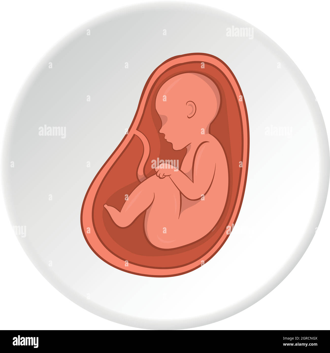 Dans l'estomac de l'embryon, l'icône de style cartoon Illustration de Vecteur