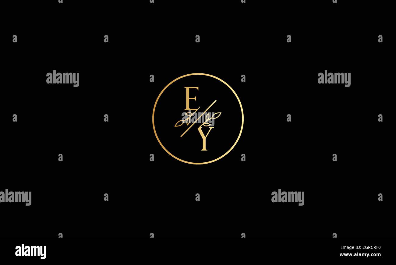 LETTRES LOGO EY AVEC ICÔNE EN FORME DE FLEUR POUR ILLUSTRATION Illustration de Vecteur