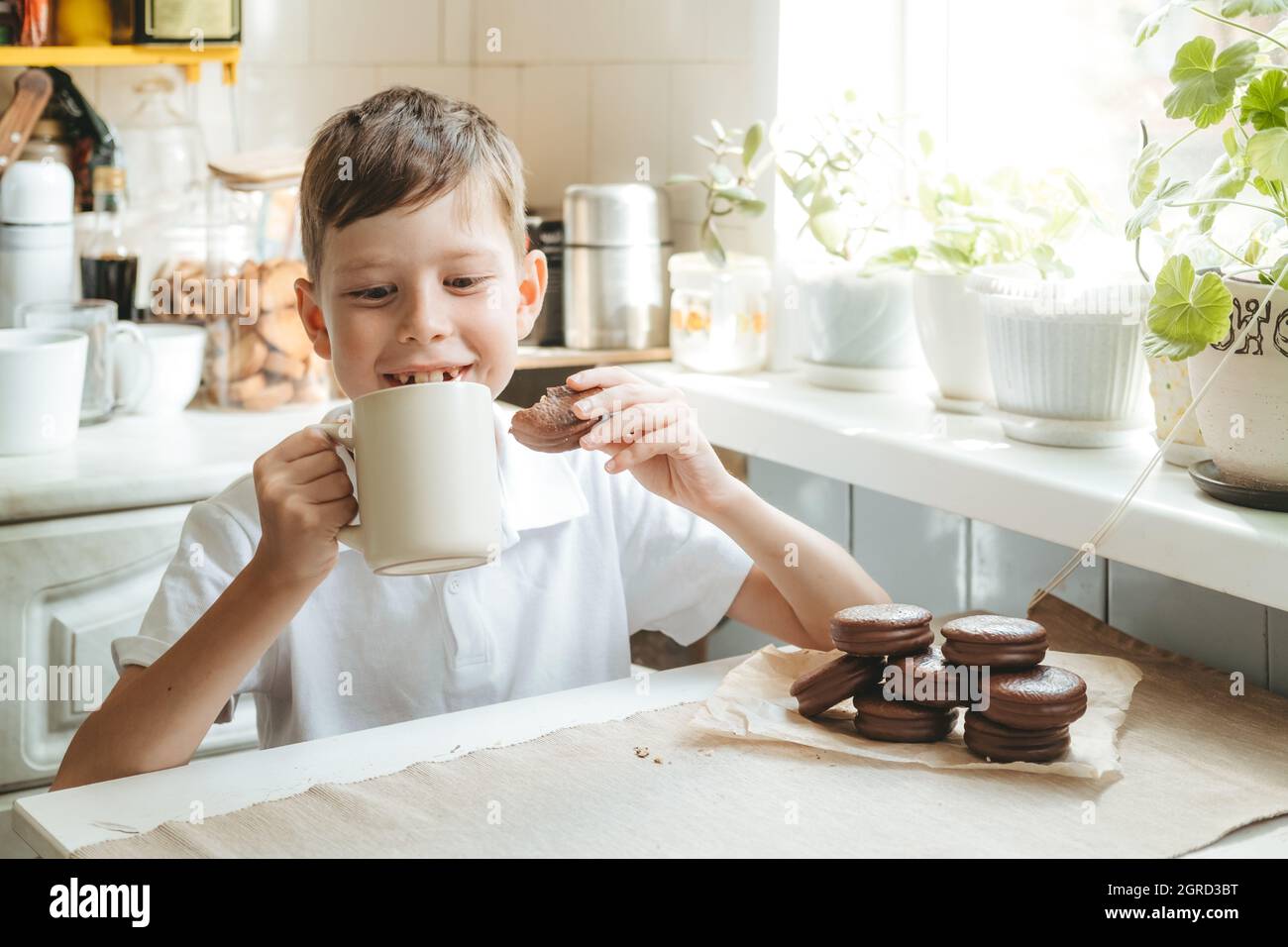 Un garçon boit du lait et des biscuits aux pépites de chocolat dans sa cuisine. Un enfant heureux boit du lait dans une tasse blanche et mange des gâteaux à l'école. Banque D'Images