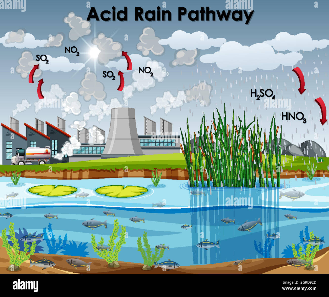 Diagramme de la voie de pluie acide avec eau et usine Illustration de Vecteur