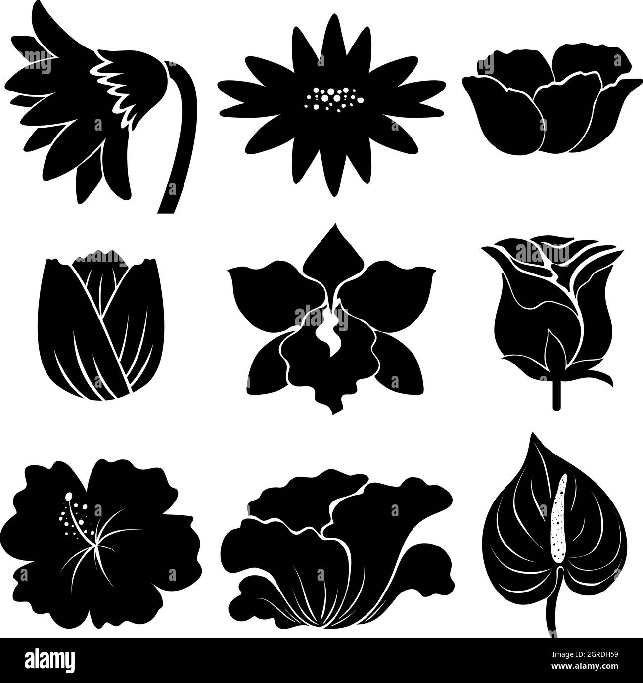 Fleurs Illustration de Vecteur