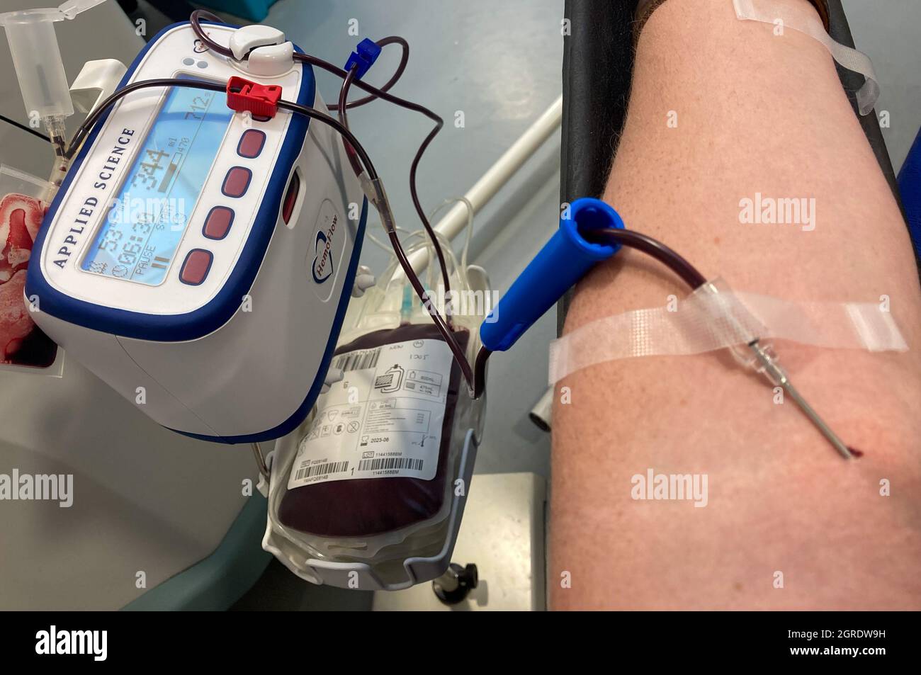 Un donneur de sang donne du sang dans un centre de don de sang NHS avec une aiguille dans le bras et du sang visible dans une tubulure en plastique.Centre des donneurs de sang du West End NHS. Banque D'Images