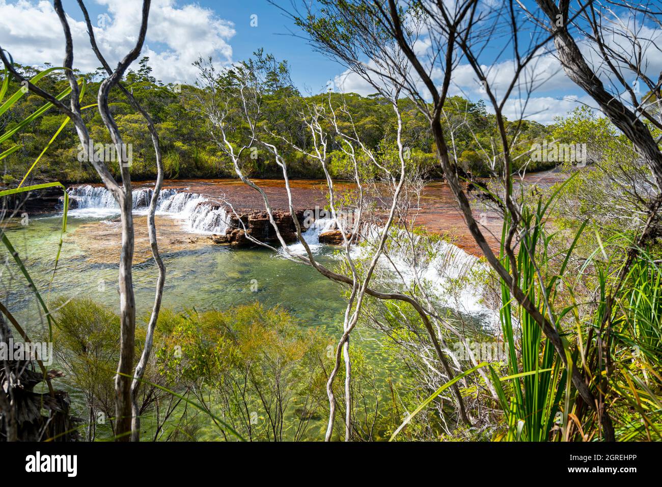 Fruit Bat Falls sur Eliot Creek, un arrêt touristique populaire et un trou de baignade sur la péninsule de Cape York Banque D'Images