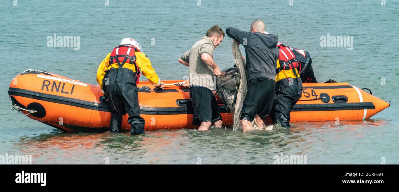 Le dauphin commun a été décapé à Timoleague. Aide de Courtmacsherry RNLI. Banque D'Images