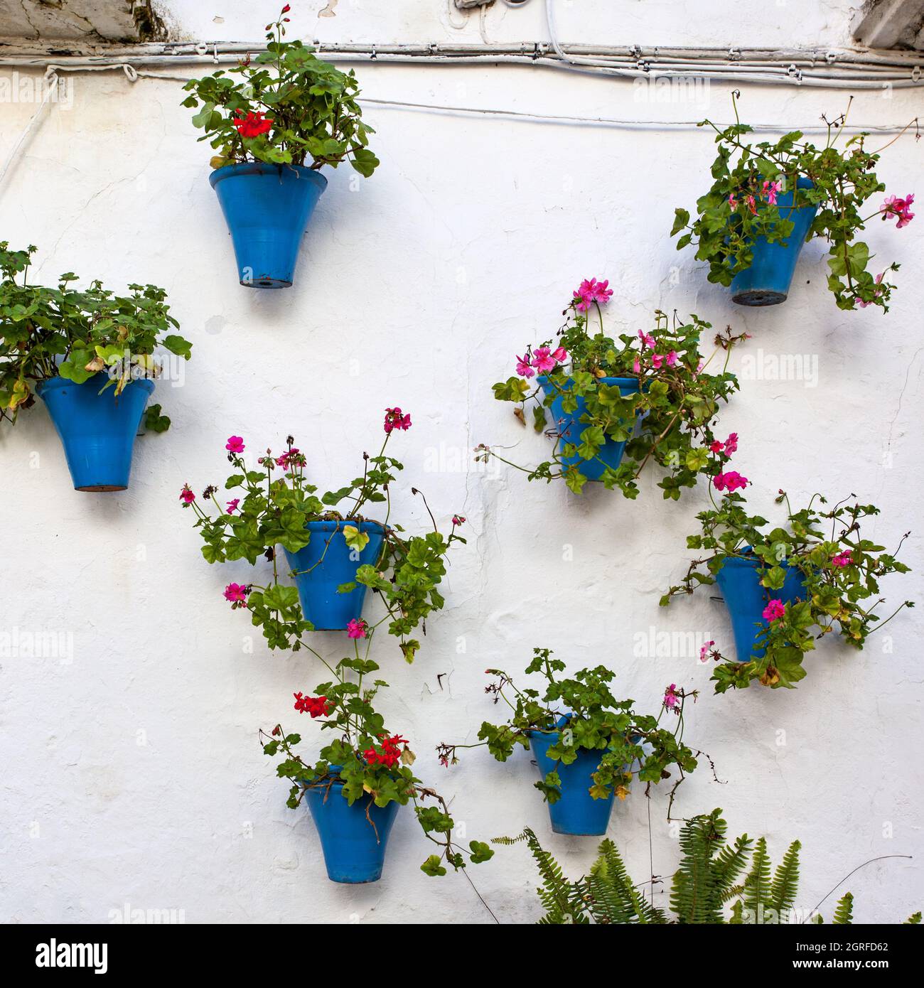 Mur de la maison à Cordoue avec pots de fleurs à l'extérieur, Espagne Banque D'Images