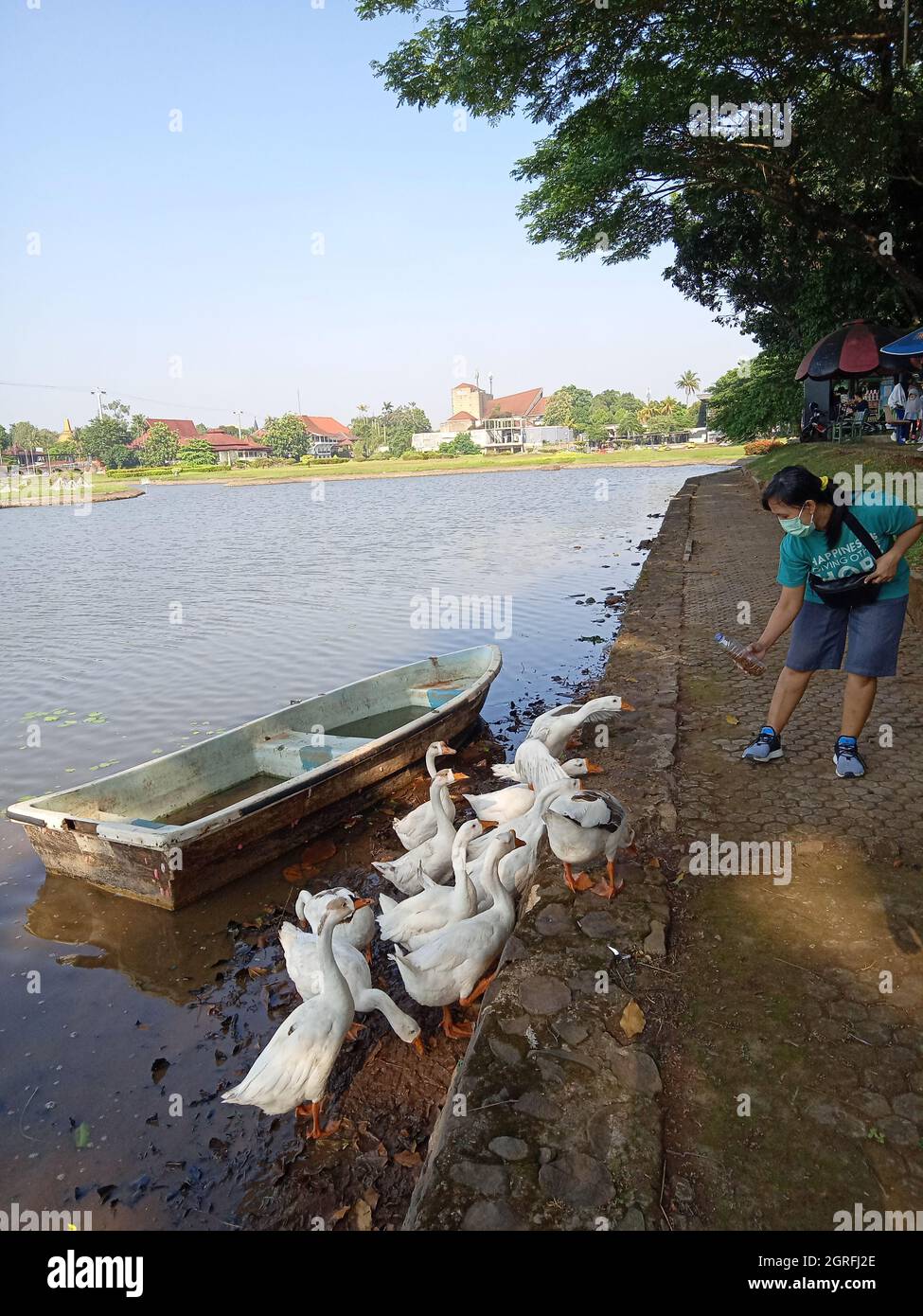 Photo Editorial, 26 septembre 2021, Djakarta est, Indonésie, enfants et sa mère qui nourrissent le canard au lac artificiel Banque D'Images