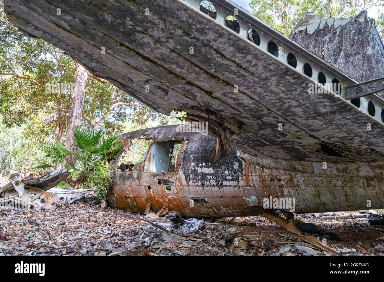 Épave de l'avion DC-3 qui s'est écrasé près de Higgins Field, en 1945. Bamaga, Queensland, Australie Banque D'Images