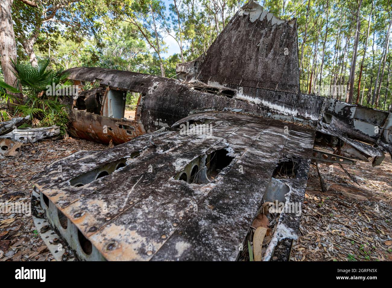 Épave de l'avion DC-3 qui s'est écrasé près de Higgins Field, en 1945. Bamaga, Queensland, Australie Banque D'Images