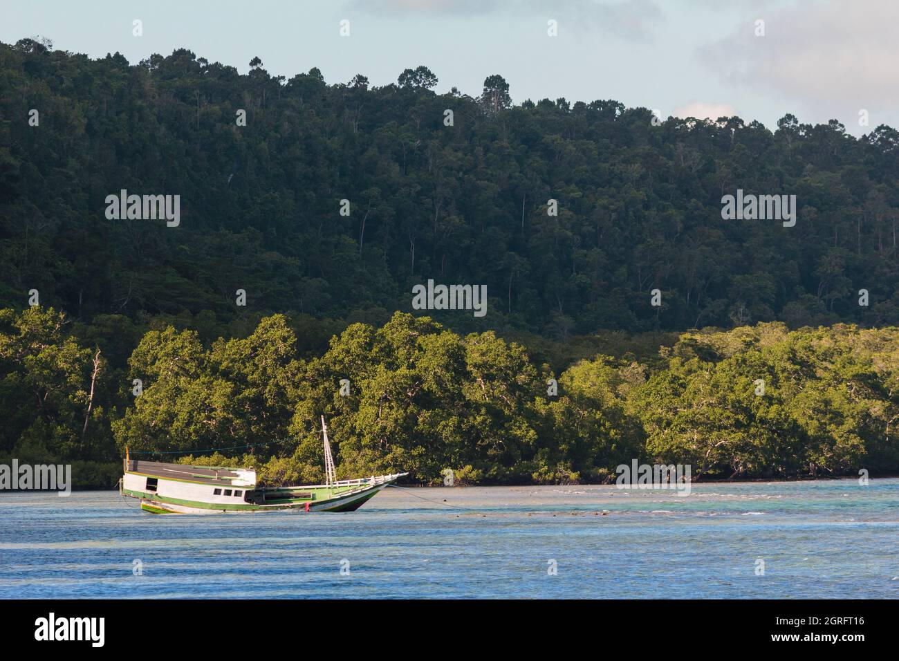 Indonésie, Papouasie, île de Biak, plage de Bosnik, bateau de pêche pêché devant une côte bordée de jungle Banque D'Images
