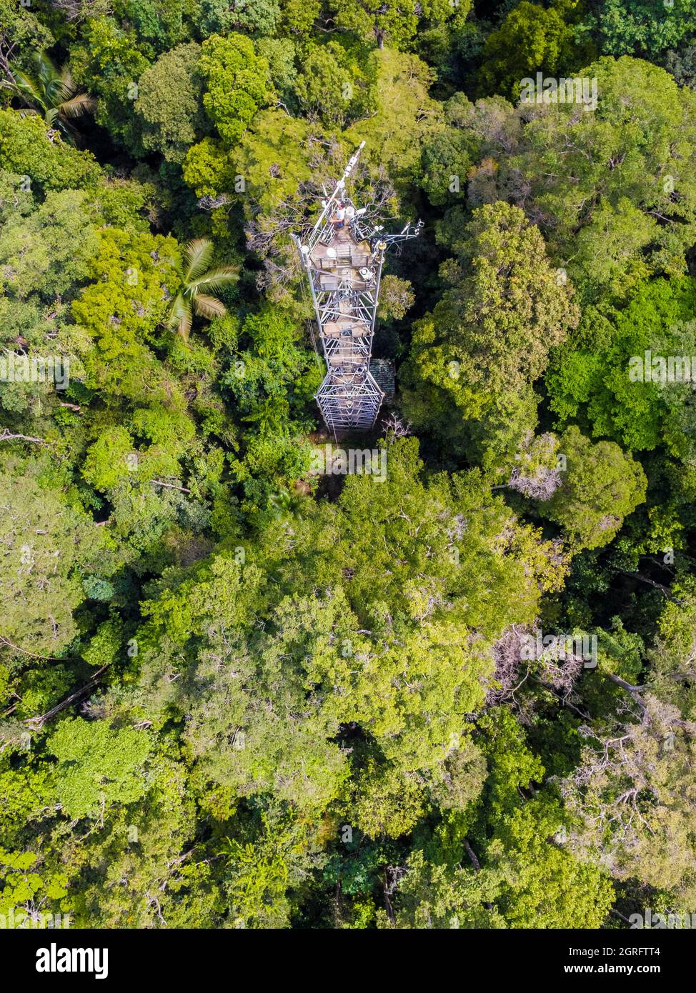 Station de recherche France, Guyane française, Kourou, Paracou (gérée par le Cirad) étudiant les échanges de gaz (cycle du carbone) entre les différentes couches de la forêt tropicale, vue aérienne de la tour Guyaflux (vue aérienne) Banque D'Images