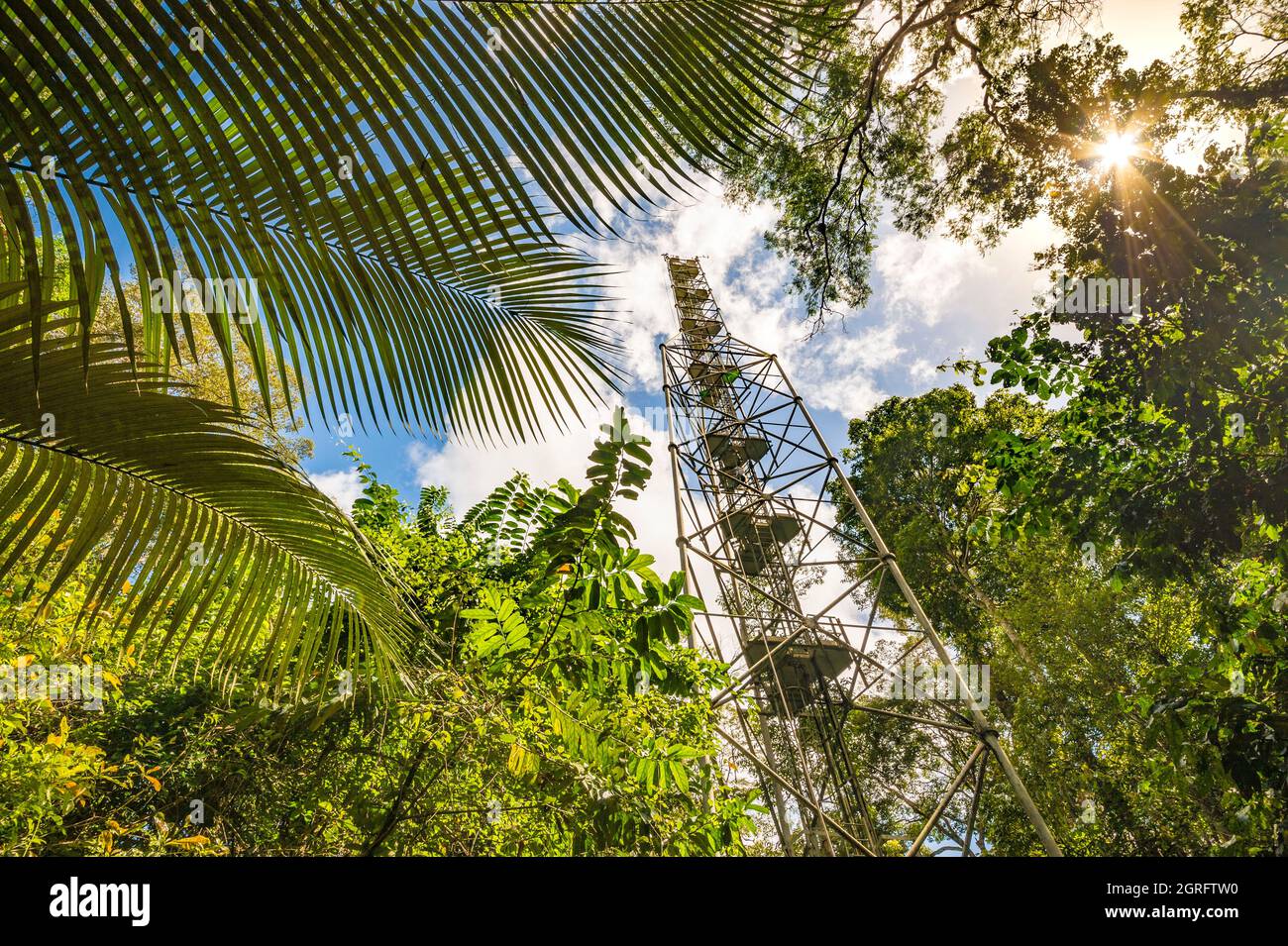 Station de recherche France, Guyane française, Kourou, Paracou (gérée par le Cirad) étudiant les échanges de gaz (cycle du carbone) entre les différentes couches de la forêt tropicale, la tour de Guyaflux Banque D'Images
