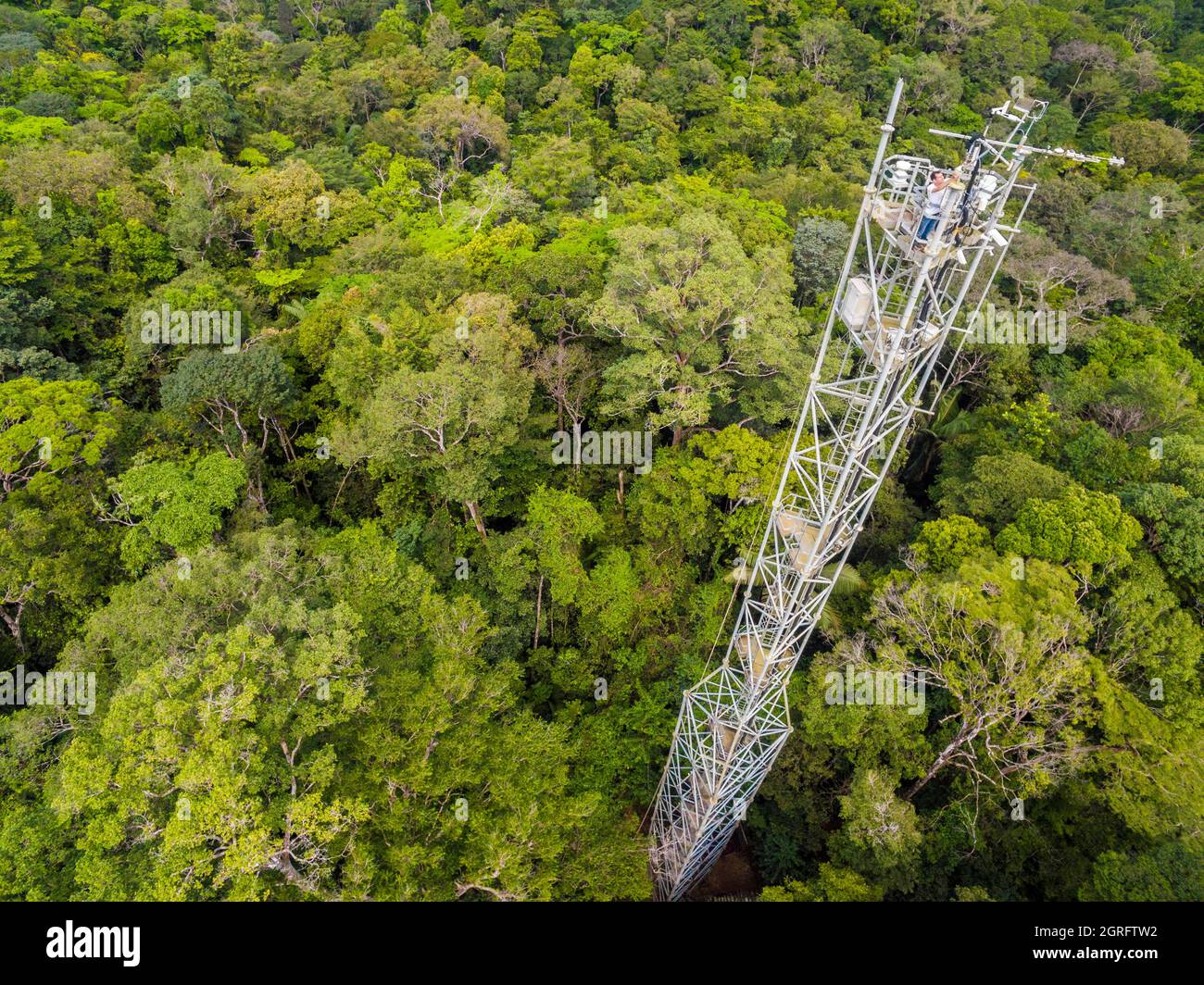 Station de recherche France, Guyane française, Kourou, Paracou (gérée par le Cirad) étudiant les échanges de gaz (cycle du carbone) entre les différentes couches de la forêt tropicale, vue aérienne de la tour de Guyaflux (vue aérienne) Banque D'Images
