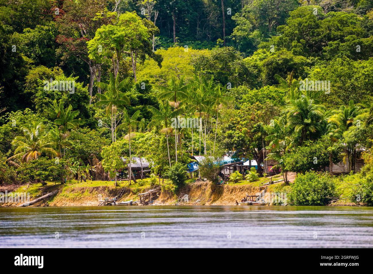 France, Guyane française, Parc Amazonien de Guyane, Camopi, une partie
