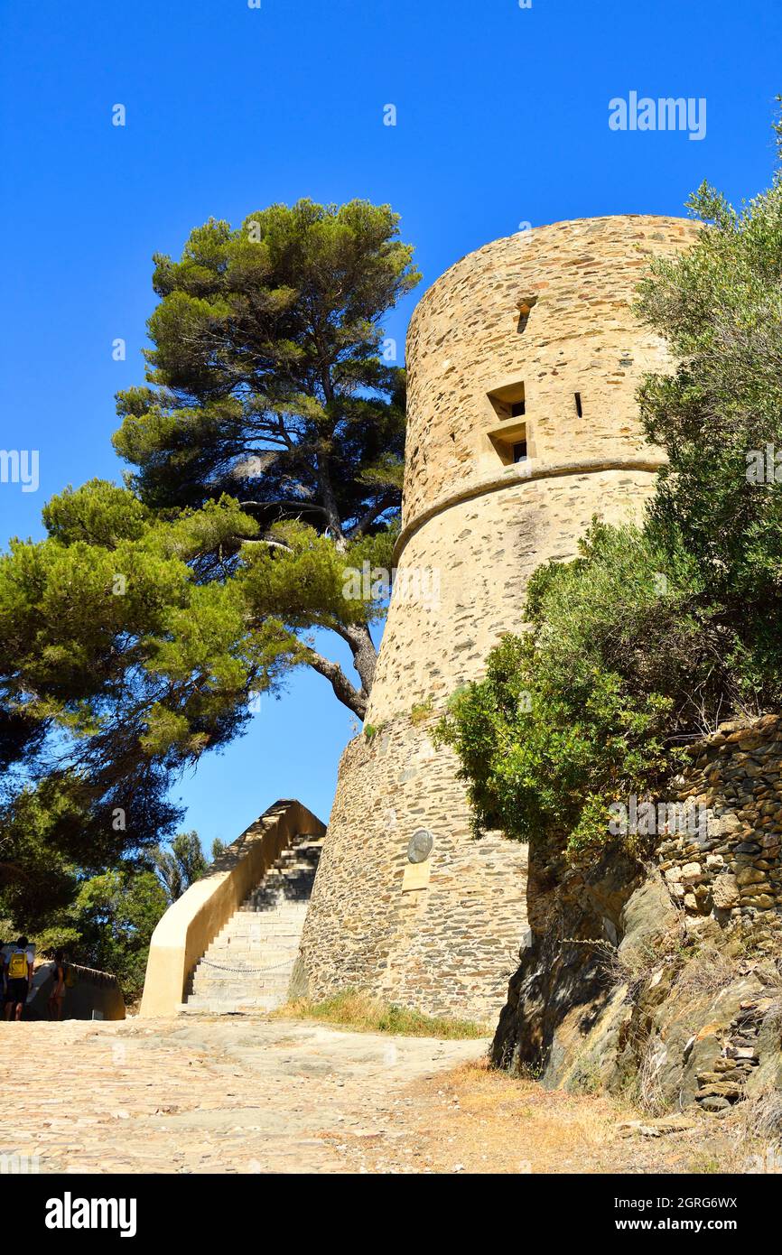 France, Var, Iles Hyères, Parc National de Port Cros île de Port Cros, fort du Moulin surplombant le village de Port Cros Banque D'Images