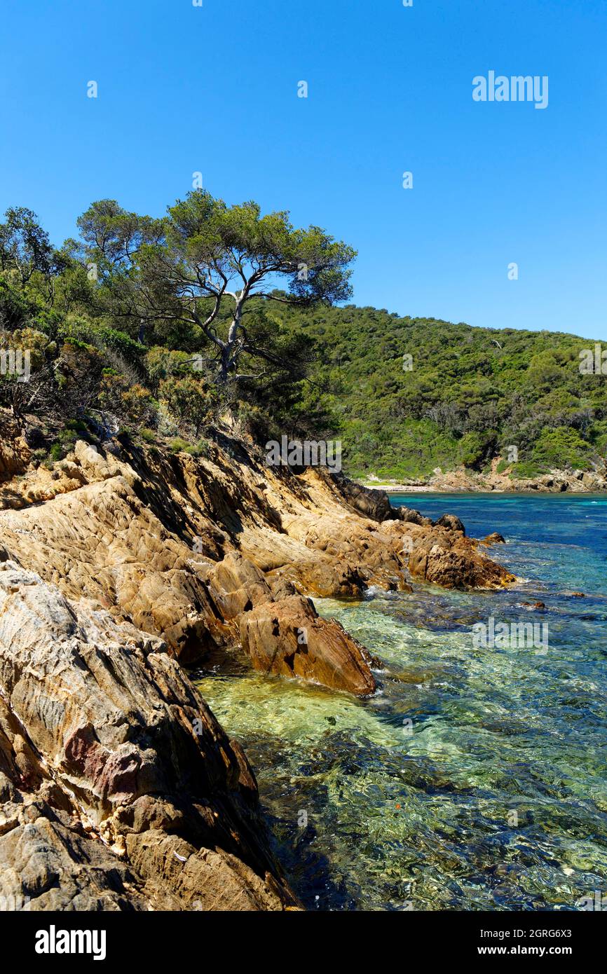 France, Var, Iles Hyères, Parc National de Port Cros île de Port Cros, la pointe de Palud Banque D'Images