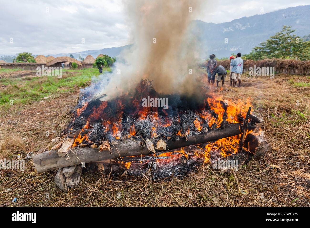 Indonésie, Papouasie, ville de Wamena, membres de la tribu Dani, exécute la cuisine traditionnelle des patates douces dans un four de terre, avec des pierres chauffées par le feu de bois et enveloppées dans des feuilles de plantes. Festival culturel de Baliem Valley, chaque année en août, les tribus se réunissent pour effectuer des scènes de guerre ancestrales, des défilés et de la danse dans des vêtements traditionnels Banque D'Images