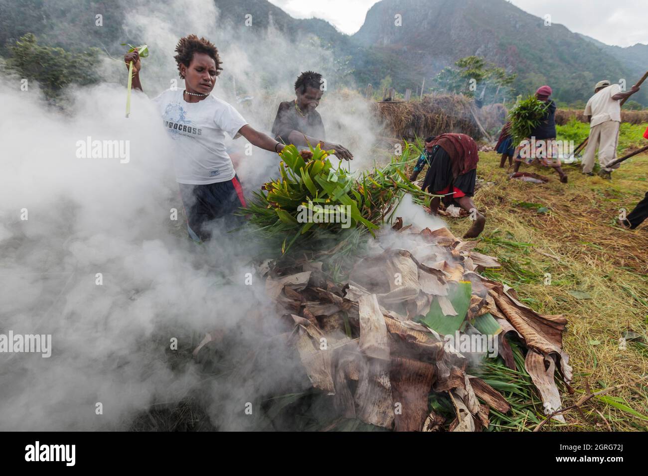 Indonésie, Papouasie, ville de Wamena, membres de la tribu Dani, exécute la cuisine traditionnelle des patates douces dans un four de terre, avec des pierres chauffées par le feu de bois et enveloppées dans des feuilles de plantes. Festival culturel de Baliem Valley, chaque année en août, les tribus se réunissent pour effectuer des scènes de guerre ancestrales, des défilés et de la danse dans des vêtements traditionnels Banque D'Images