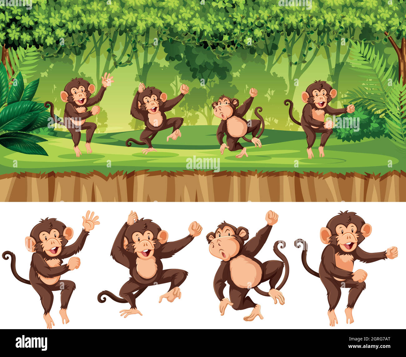 Groupe de singes en forêt Illustration de Vecteur