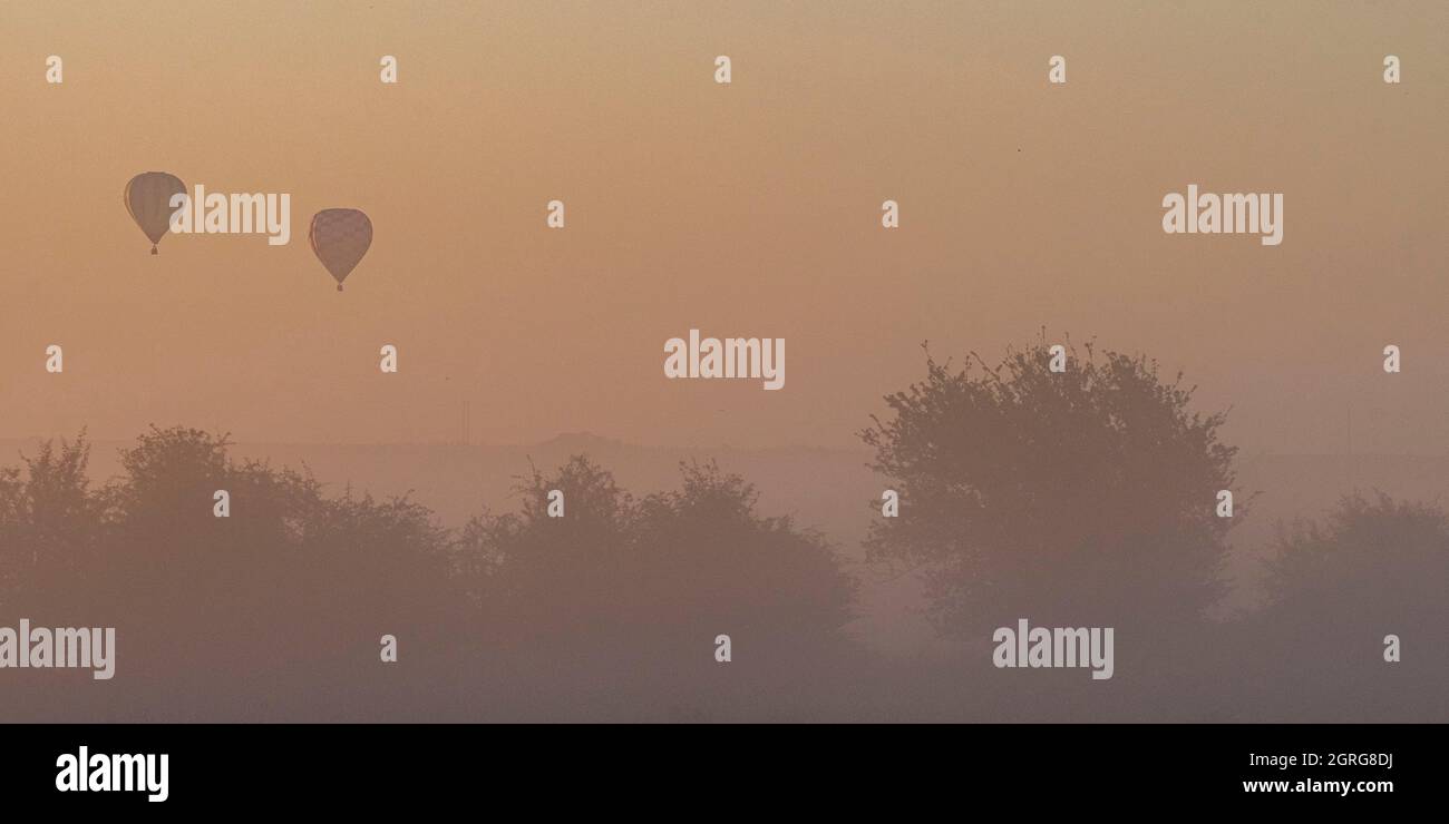 France, somme (80), Baie de somme, Saint-Valery-sur-somme, vol en montgolfière au-dessus des clôtures dans la brume matinale Banque D'Images
