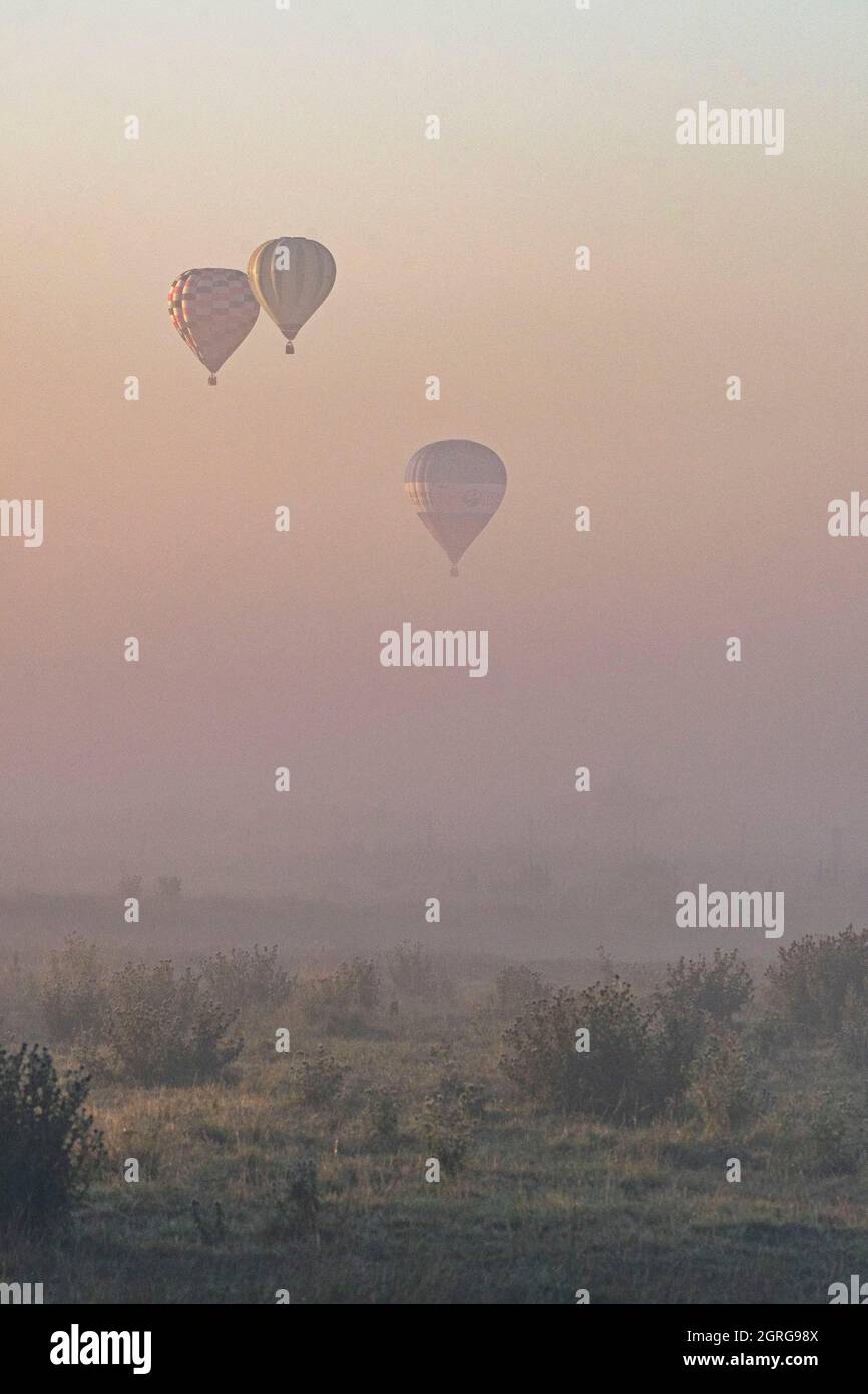 France, somme (80), Baie de somme, Saint-Valery-sur-somme, vol en montgolfière au-dessus des clôtures dans la brume matinale Banque D'Images