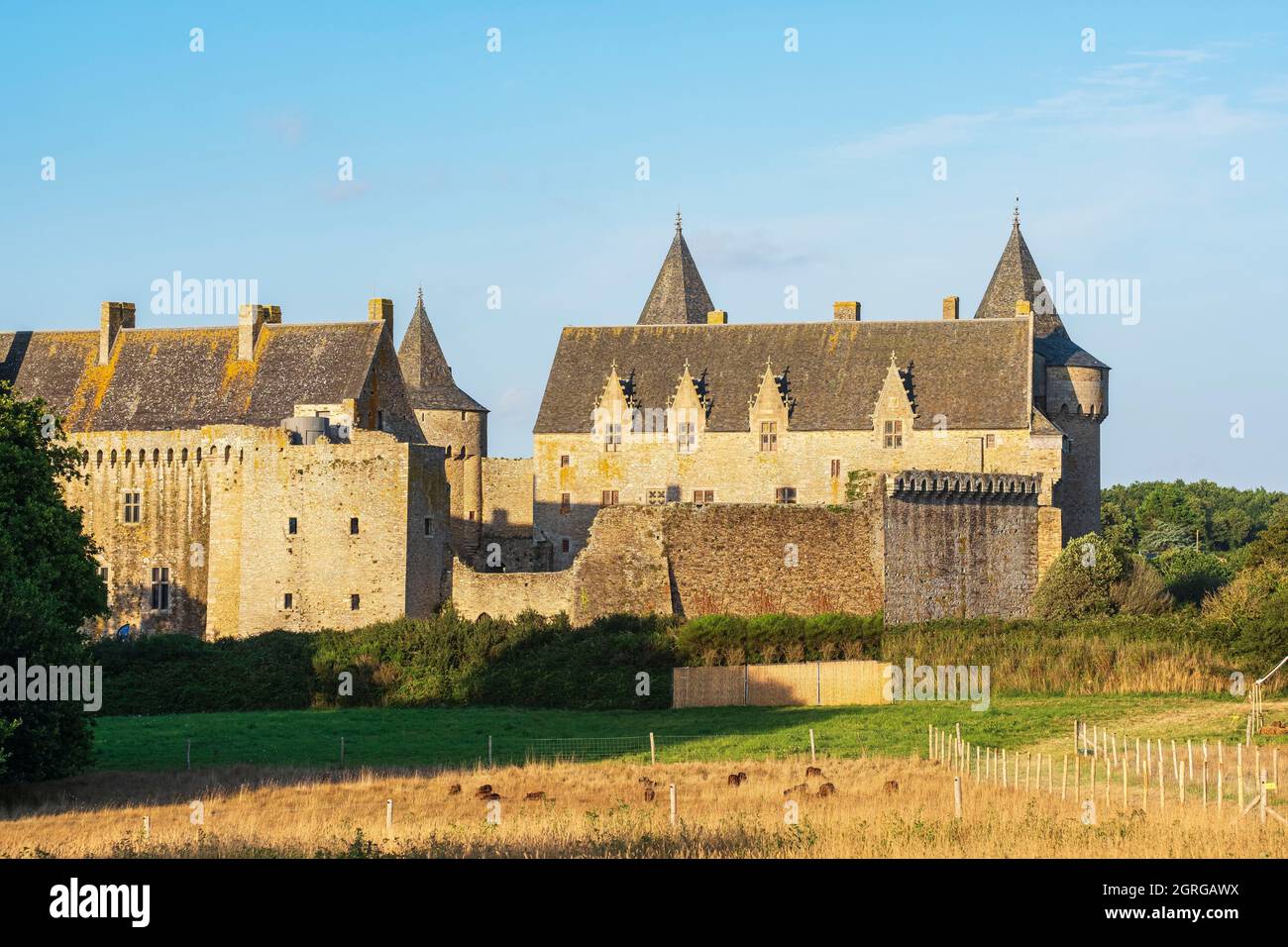 Chateau de suscinio Banque de photographies et d’images à haute ...