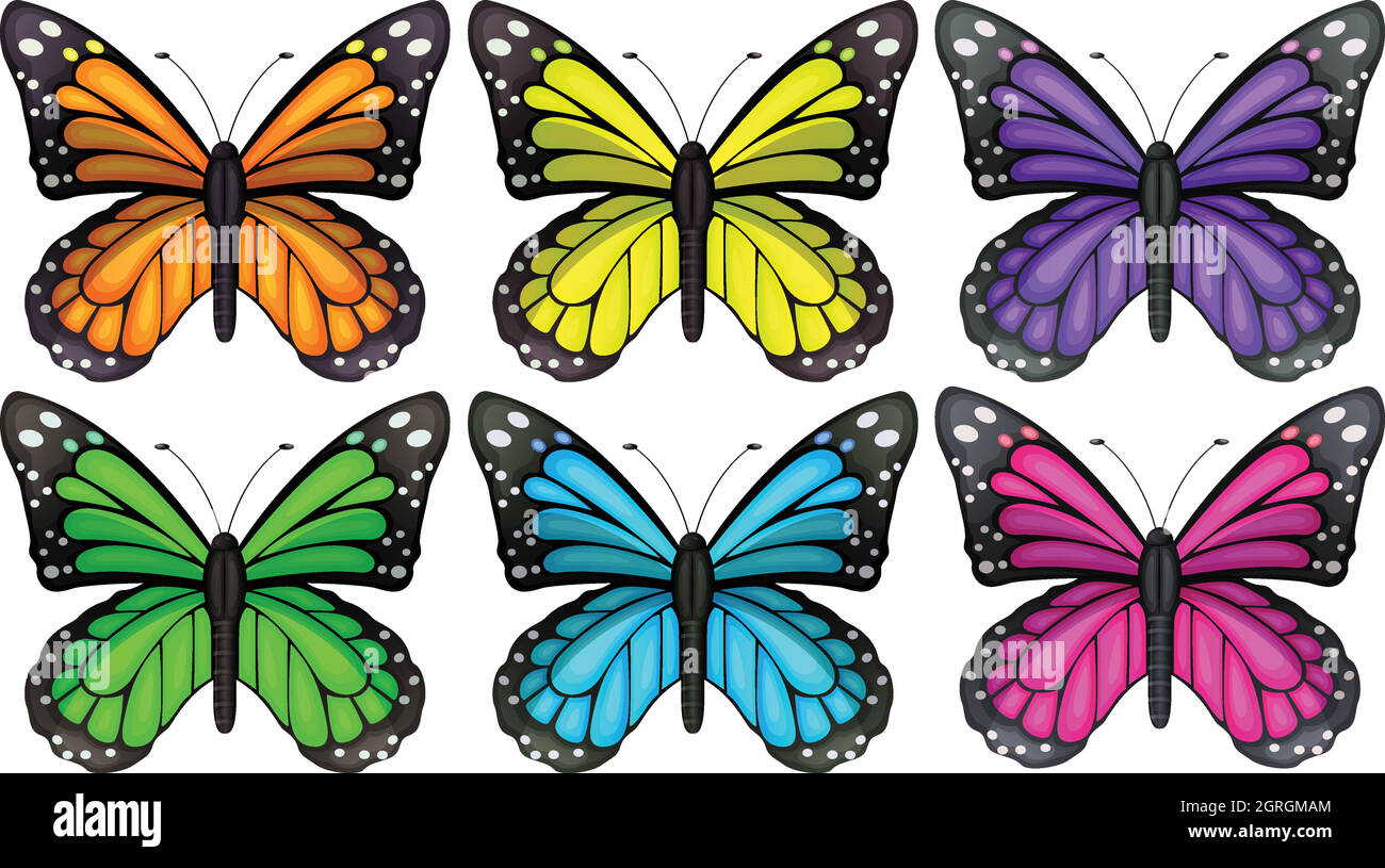 Papillons colorés Illustration de Vecteur