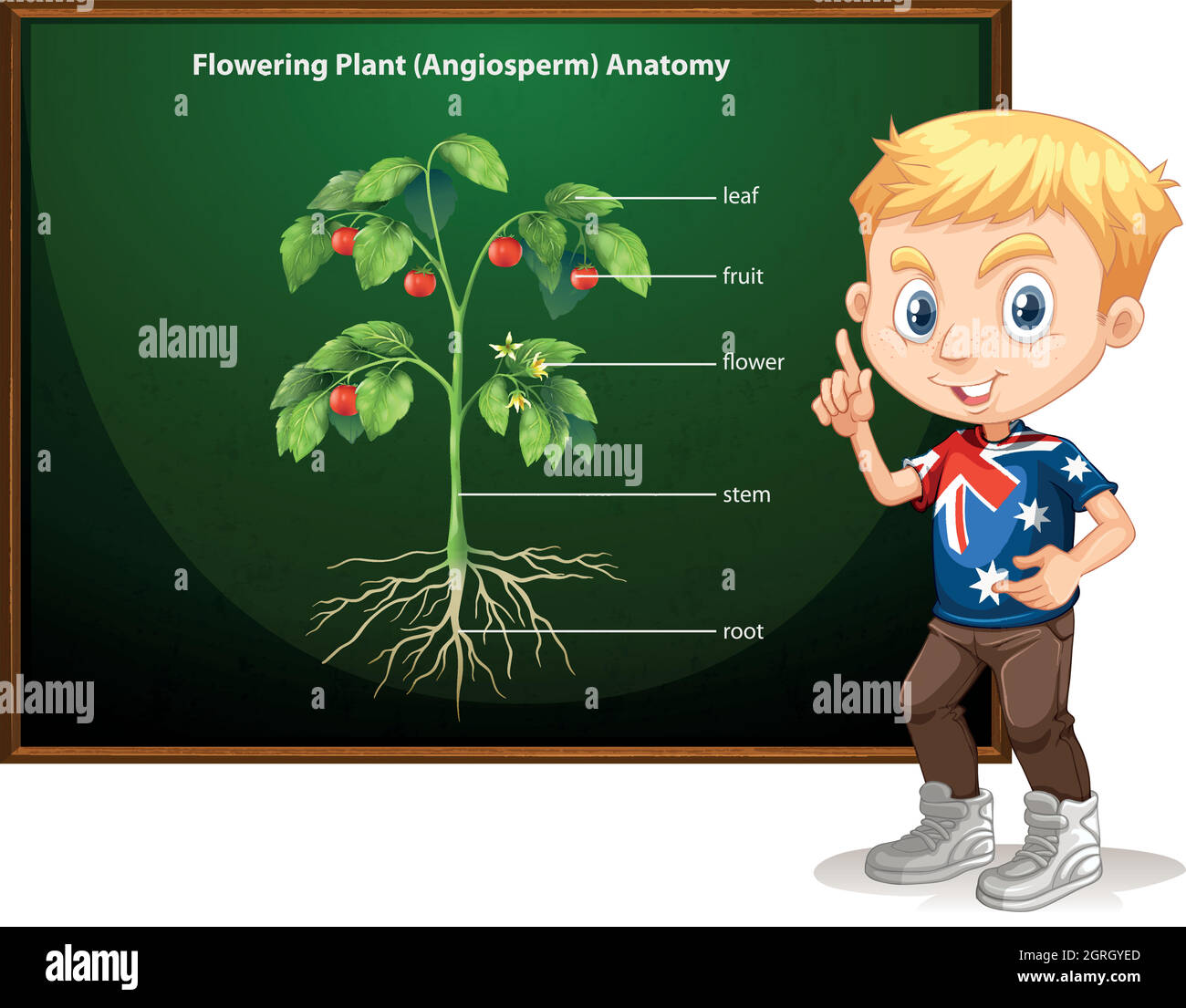 Petit garçon et anatomie florale Illustration de Vecteur