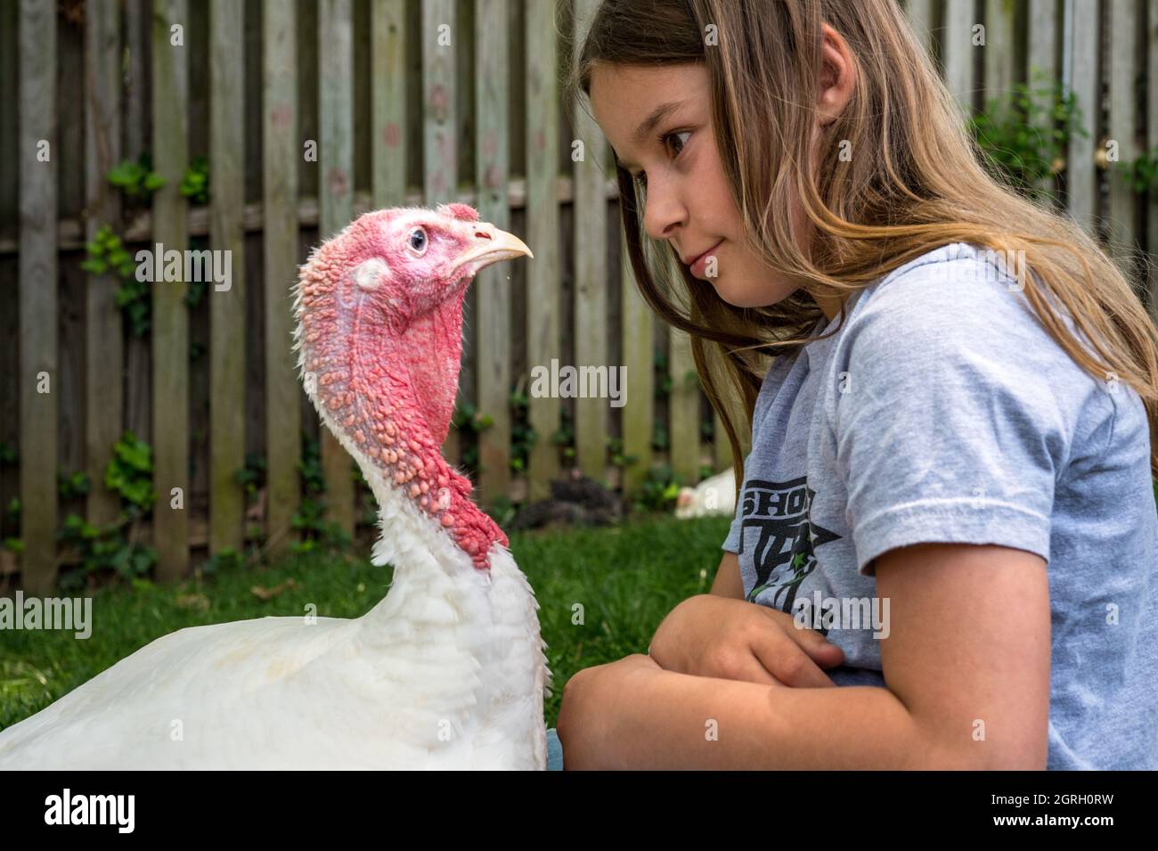 Fille dans concours de mise en vedette avec la dinde d'animal de compagnie un jour ensoleillé Banque D'Images