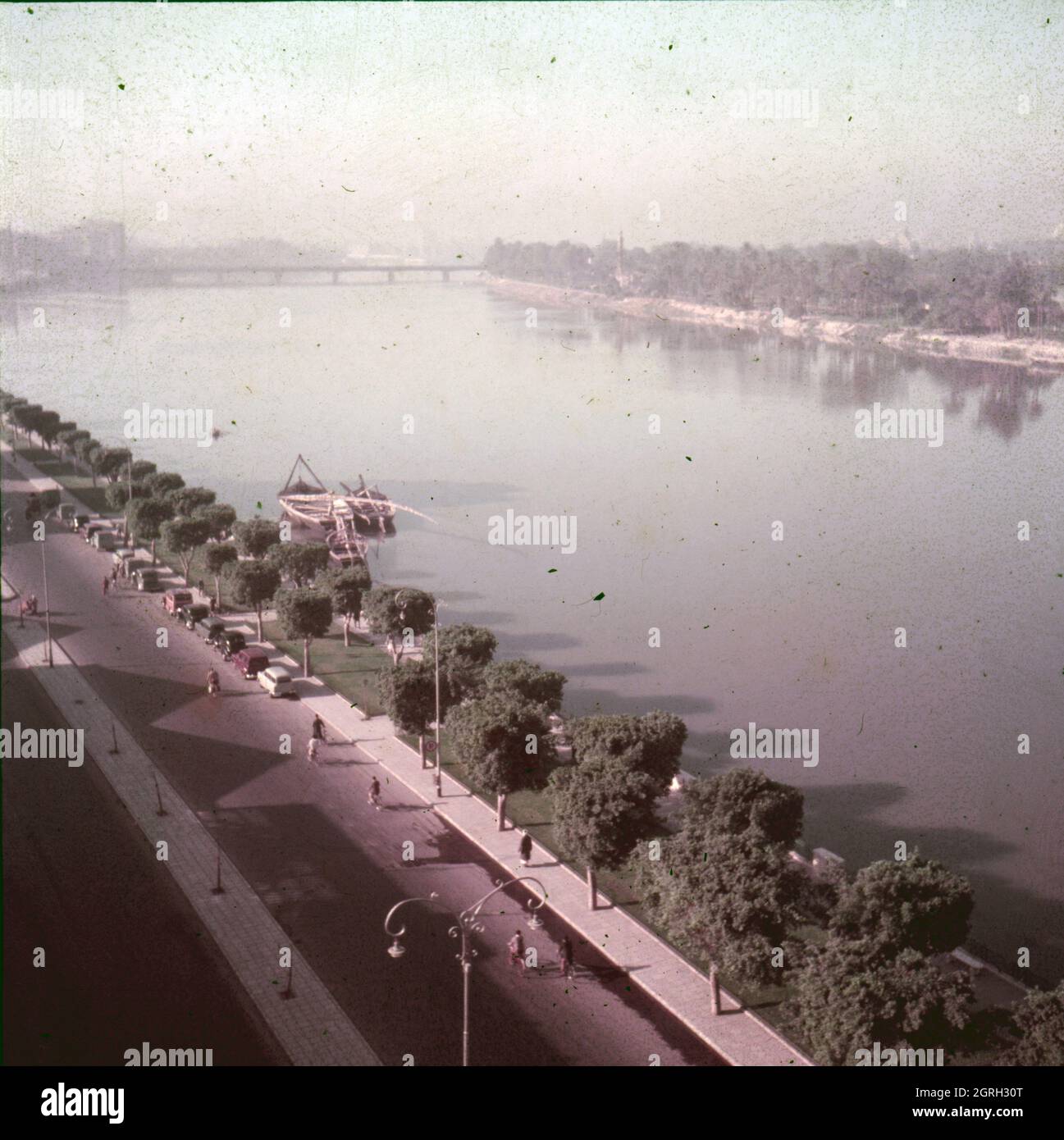 Die Corniche am Nil à Kairo, Ägitten 1955. Route de la corniche par le Nil au Caire, Égypte 1955. Banque D'Images