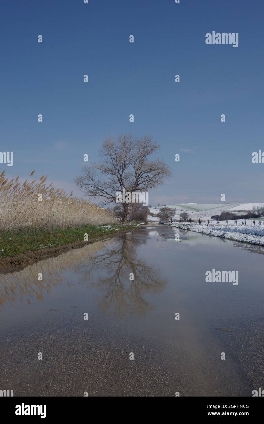 Reflet d'un arbre sur une route inondée et en arrière-plan la campagne enneigée Banque D'Images