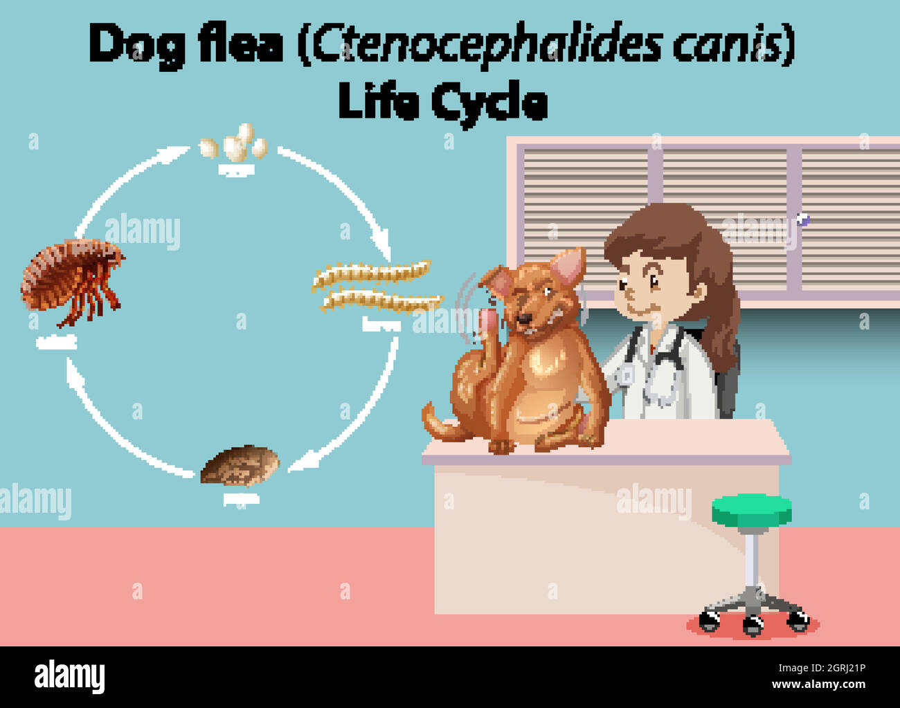 Vétérinaire avec animal malade Illustration de Vecteur