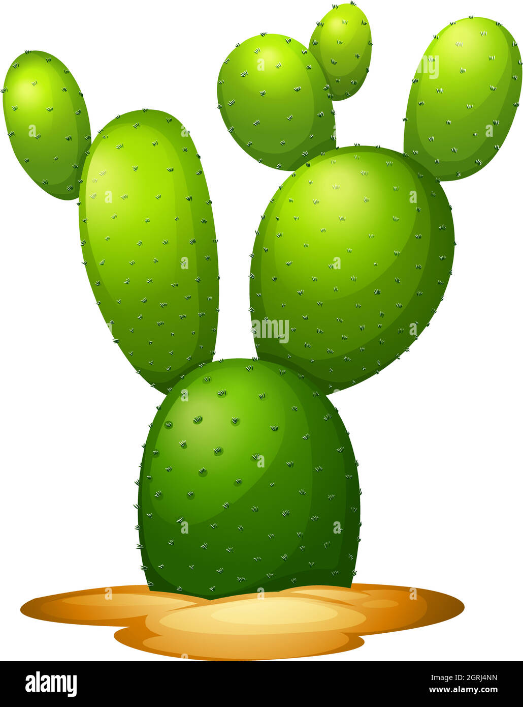 Opuntia microdasy Illustration de Vecteur