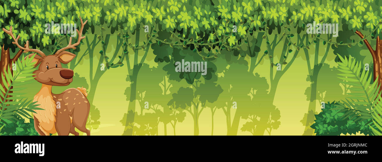 Un chevreuil dans la forêt Illustration de Vecteur