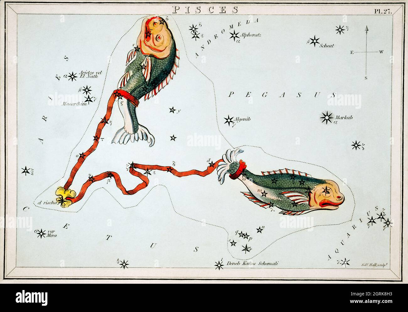 Sidney Hall (1788-1831) – diagramme astronomique des poissons. Banque D'Images