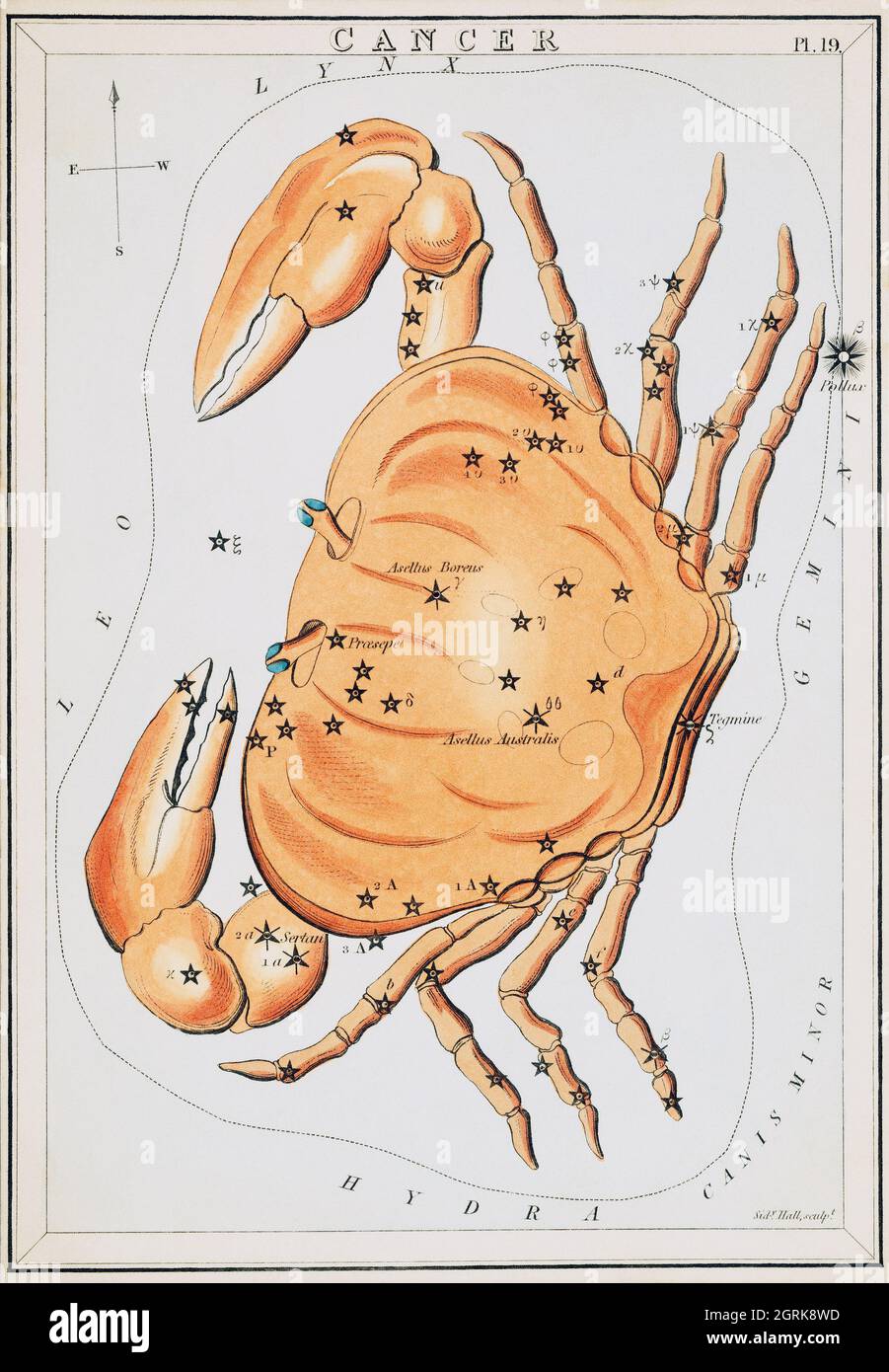 Sidney Hall (1788-1831) – diagramme astronomique illustrant le zodiaque du cancer. Un crabe formant une constellation. Vers 1825. Banque D'Images