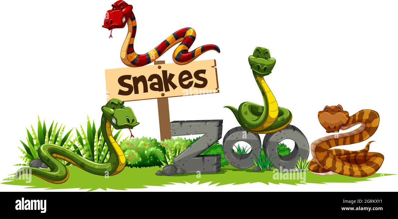 Quatre serpents dans le zoo Illustration de Vecteur
