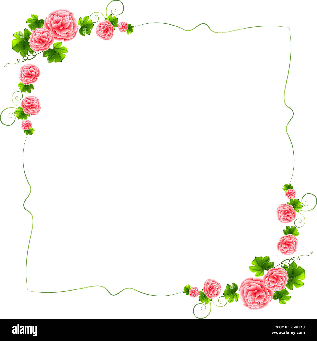Une frontière avec des fleurs roses carnation Illustration de Vecteur