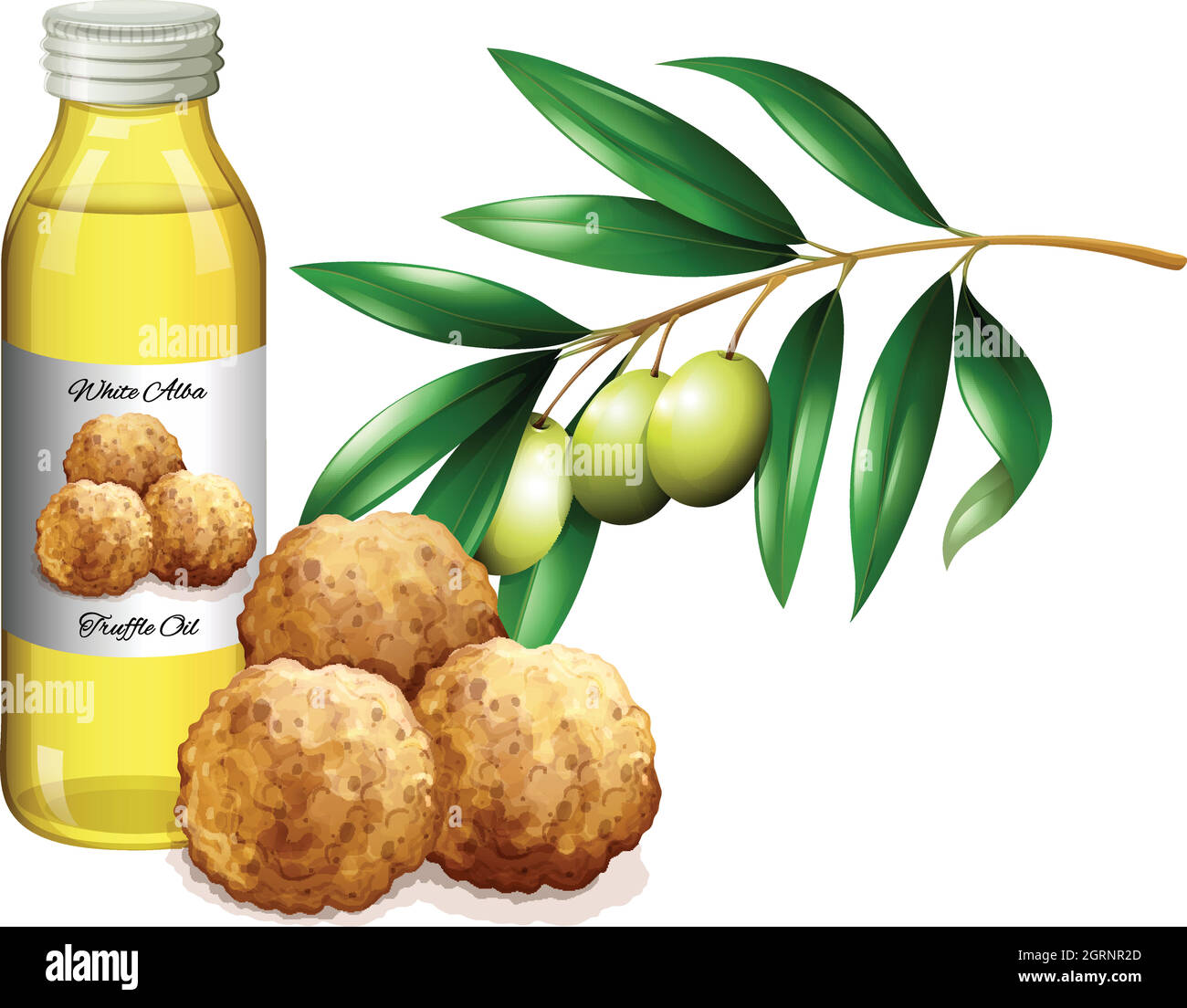 Huile de truffe en bouteille et légumes frais Illustration de Vecteur