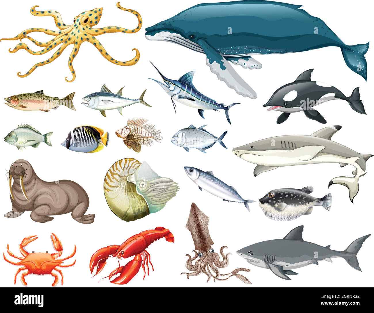 Ensemble de différents types d'animaux de la mer Illustration de Vecteur
