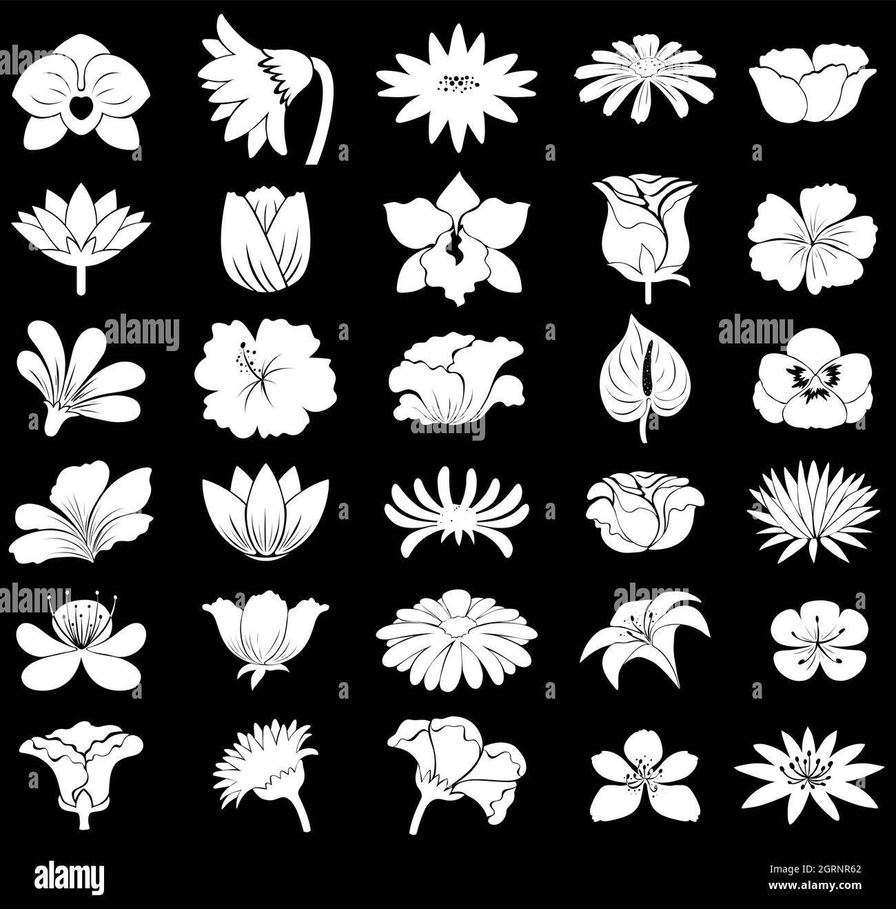 Fleurs Illustration de Vecteur