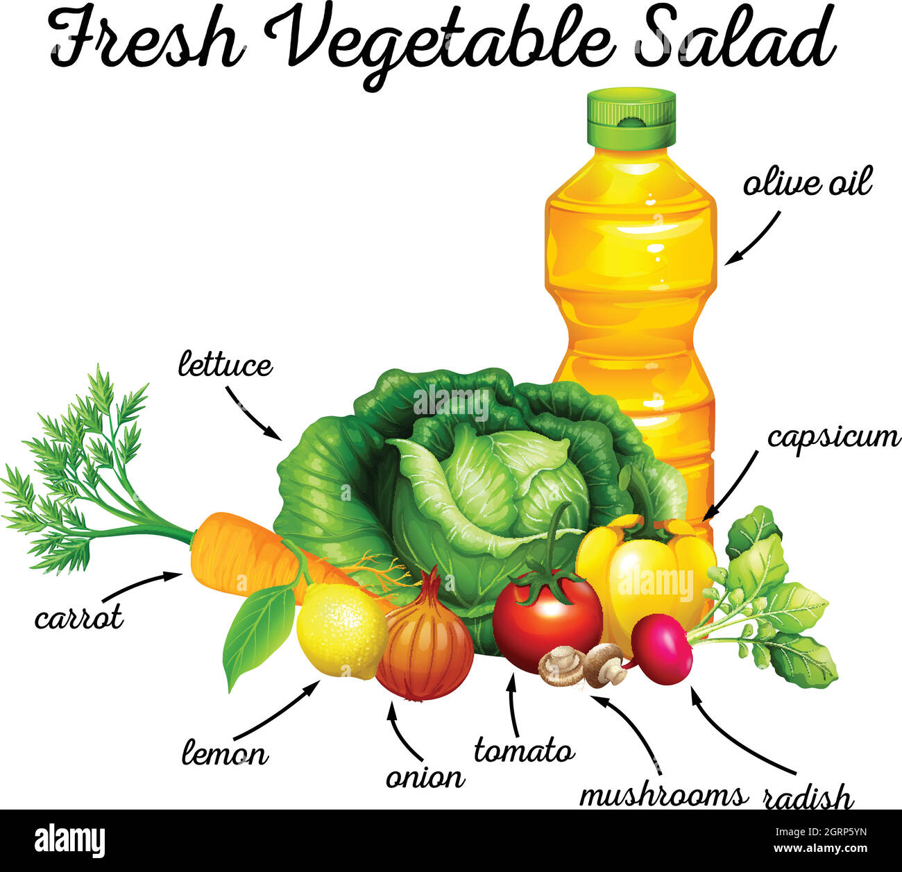 Légumes frais et huile d'olive pour salade Illustration de Vecteur