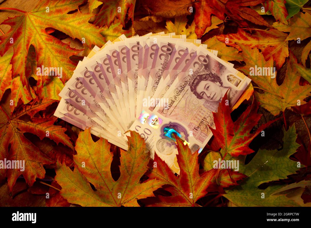 Les feuilles de l'automne et l'argent du Royaume-Uni Banque D'Images